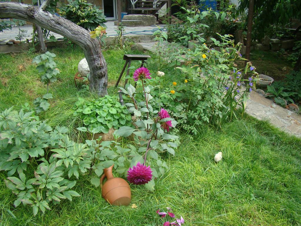 Guest House Ucha Mtskheta Exterior foto