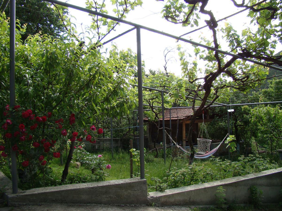 Guest House Ucha Mtskheta Exterior foto
