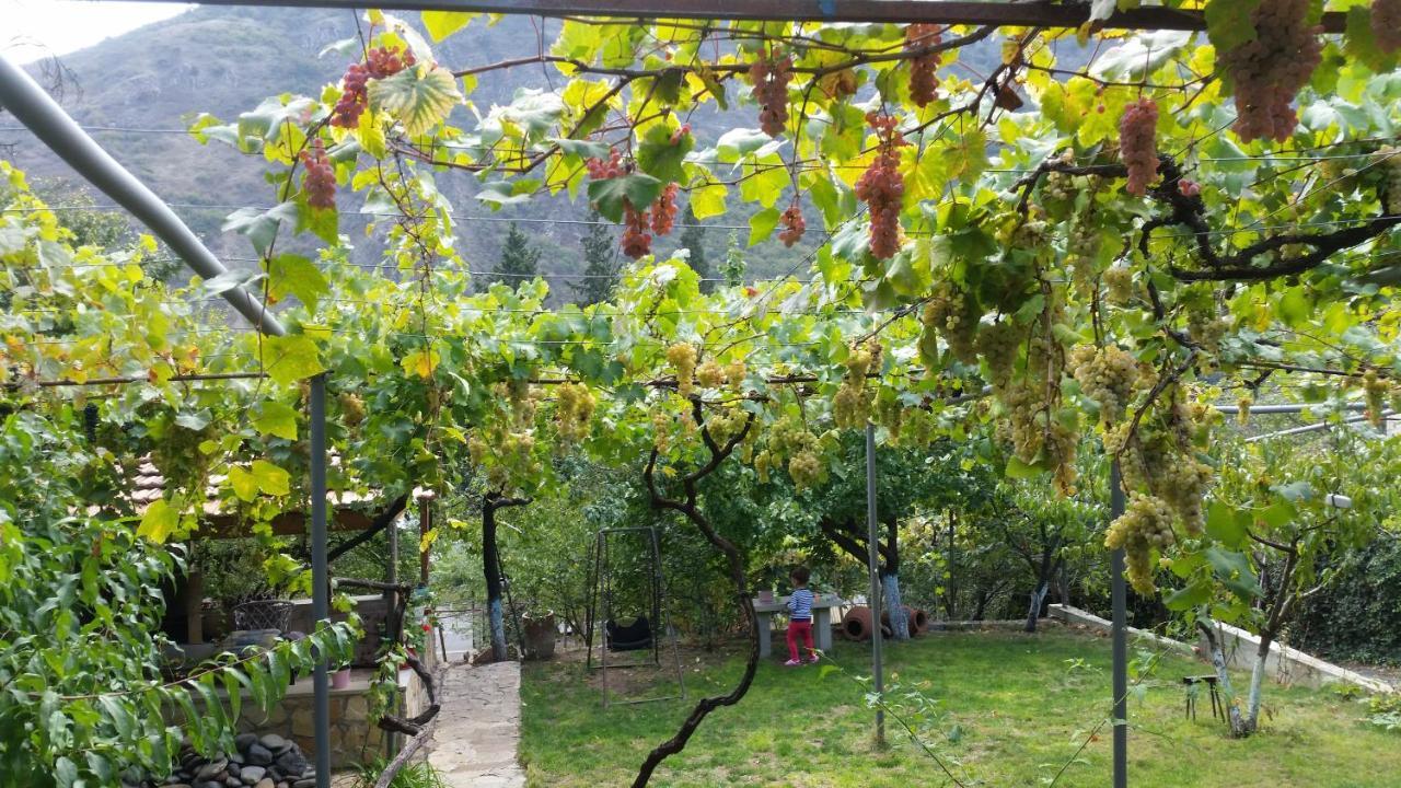 Guest House Ucha Mtskheta Exterior foto
